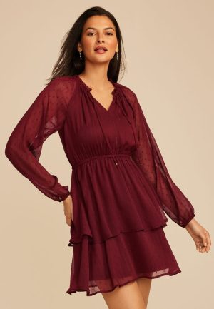Burgundy Clip Dot Long Sleeve Mini Dress